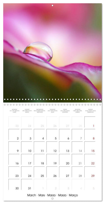 La magie des gouttes miroitantes (CALVENDO Calendrier mensuel 2026)