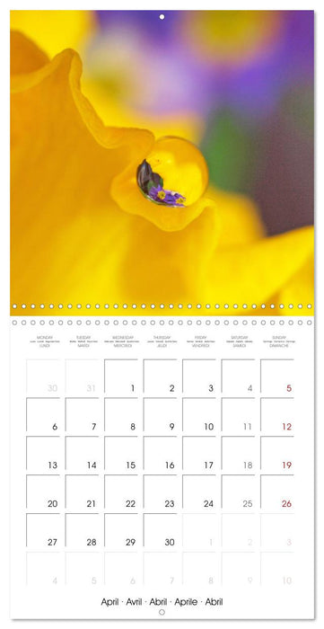 La magie des gouttes miroitantes (CALVENDO Calendrier mensuel 2026)