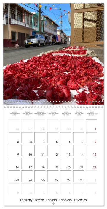 Colours of Grenada (CALVENDO Monthly Calendar 2026)