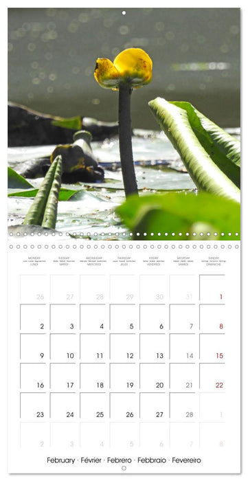 Habitat Forest (CALVENDO Monthly Calendar 2026)