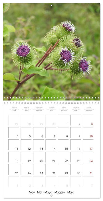 Habitat Forest (CALVENDO Monthly Calendar 2026)
