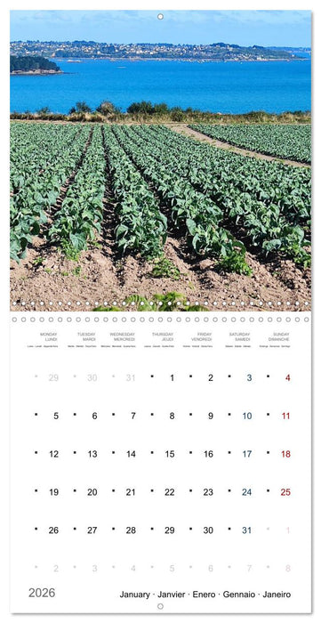 Les trésors de l'Armor (CALVENDO Calendrier mensuel 2026)