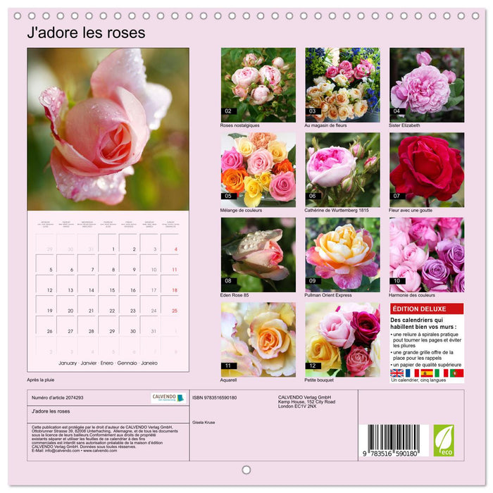 J'adore les roses (CALVENDO Calendrier mensuel 2026)