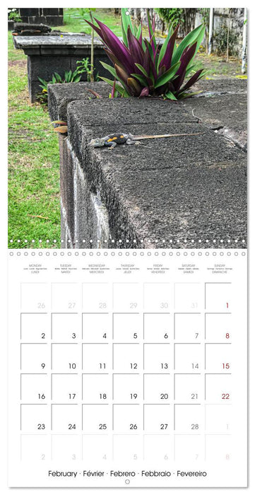 L'ile de la Réunion, un volcan au milieu de l'océan Indien (CALVENDO Calendrier mensuel 2026)