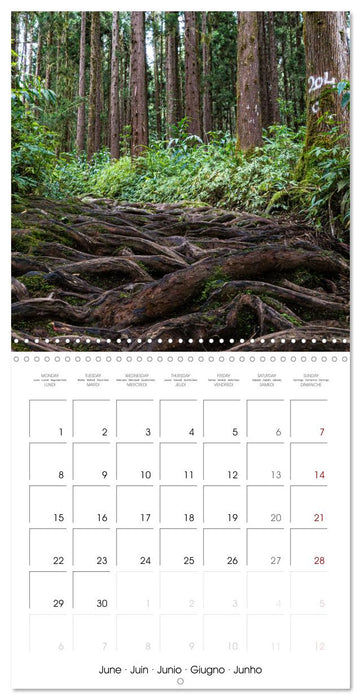 L'ile de la Réunion, un volcan au milieu de l'océan Indien (CALVENDO Calendrier mensuel 2026)