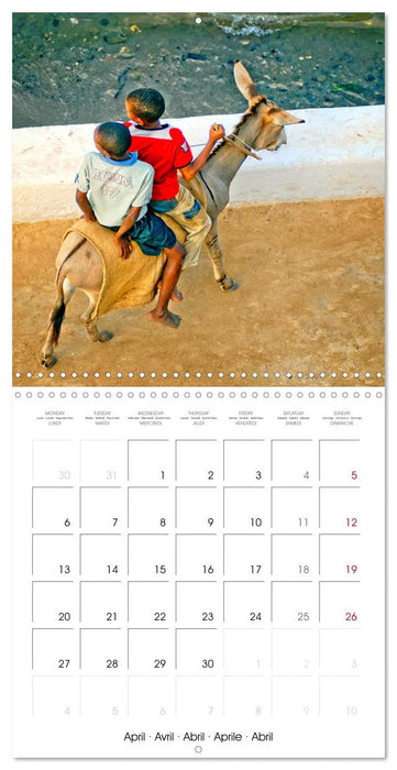 Destination Lamu (CALVENDO Monthly Calendar 2026)