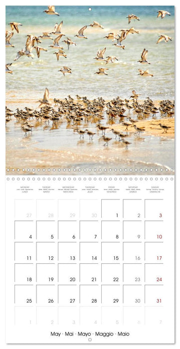 Destination Lamu (CALVENDO Monthly Calendar 2026)