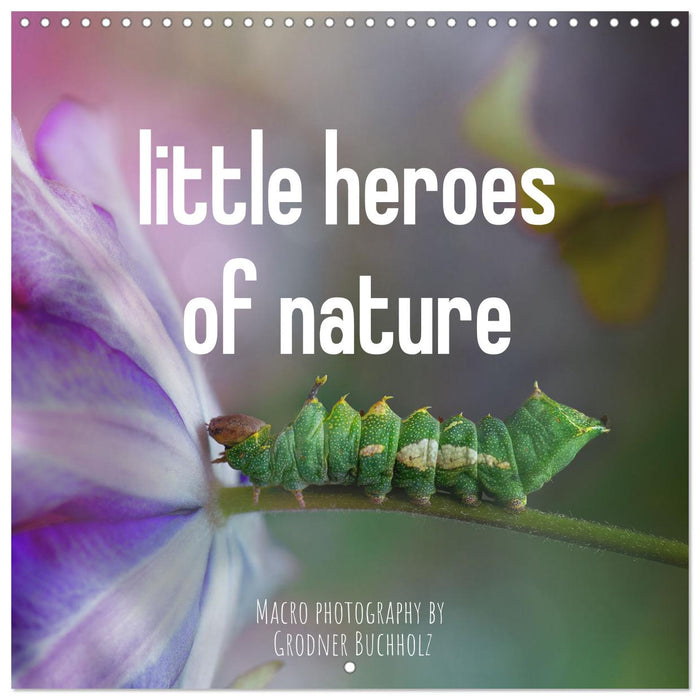 little heroes of nature (CALVENDO Monthly Calendar 2026)