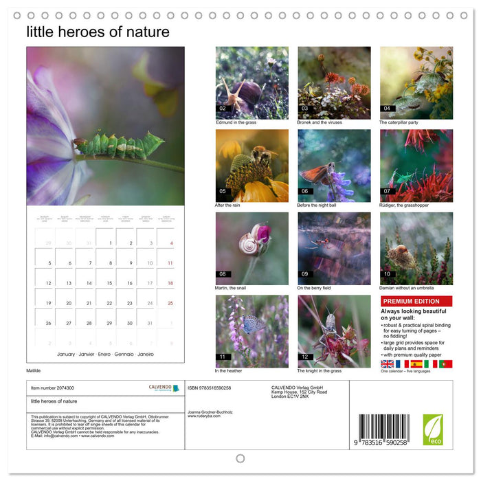 little heroes of nature (CALVENDO Monthly Calendar 2026)