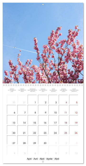Time of Cherry Blossom (CALVENDO Monthly Calendar 2026)