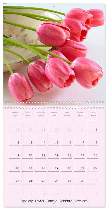 Tulipes élégantes (CALVENDO Calendrier mensuel 2026)
