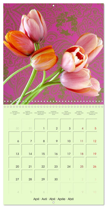 Tulipes élégantes (CALVENDO Calendrier mensuel 2026)