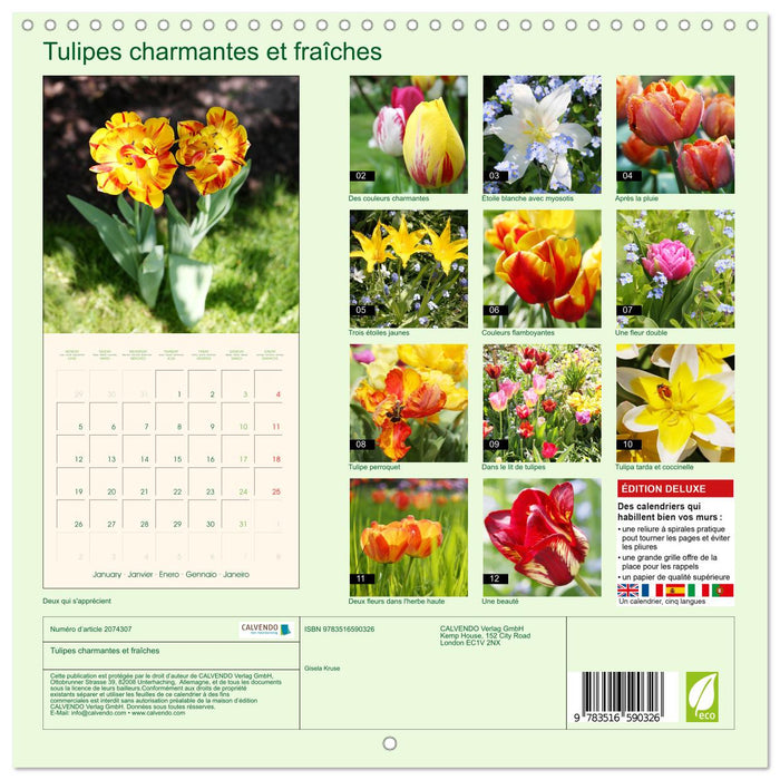 Tulipes charmantes et fraîches (CALVENDO Calendrier mensuel 2026)