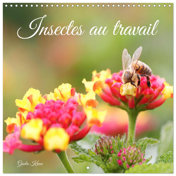 Insectes au travail (CALVENDO Calendrier mensuel 2026)
