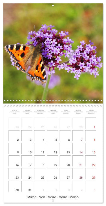 Insectes au travail (CALVENDO Calendrier mensuel 2026)