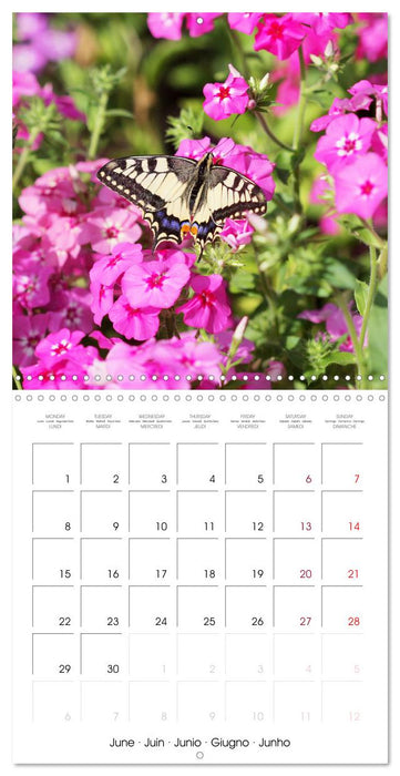 Insectes au travail (CALVENDO Calendrier mensuel 2026)