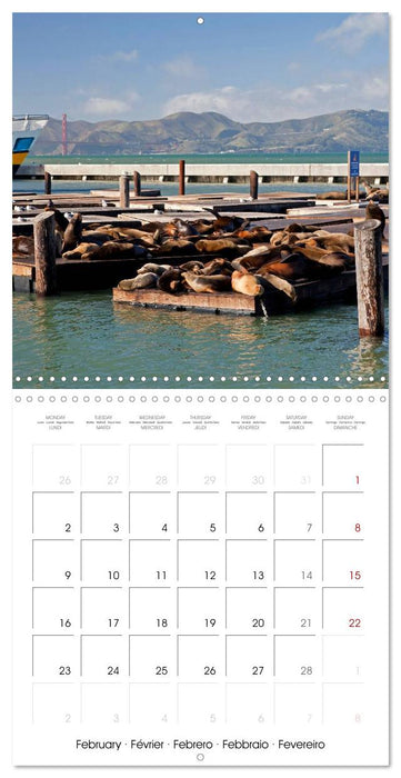 California - San Francisco (CALVENDO Monthly Calendar 2026)