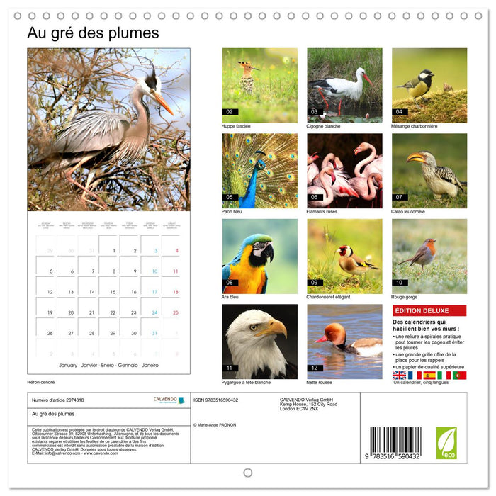 Au gré des plumes (CALVENDO Calendrier mensuel 2026)