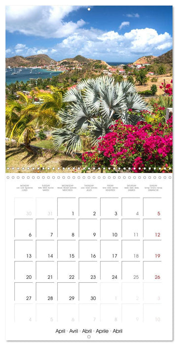 Carribean - Guadeloupe (CALVENDO Monthly Calendar 2026)