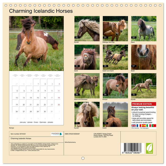 Charming Icelandic Horses (CALVENDO Monthly Calendar 2026)