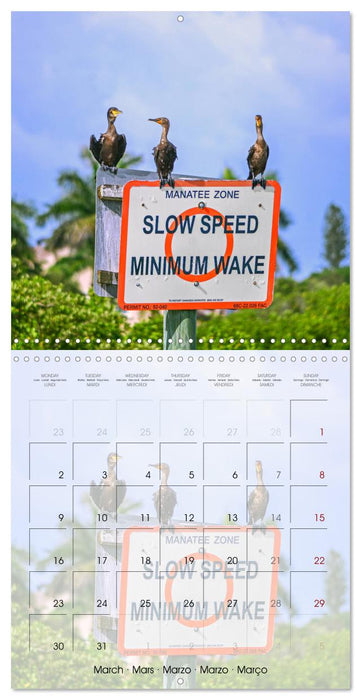 Floride – Découvertes dans l'État du soleil (CALVENDO Calendrier mensuel 2026)