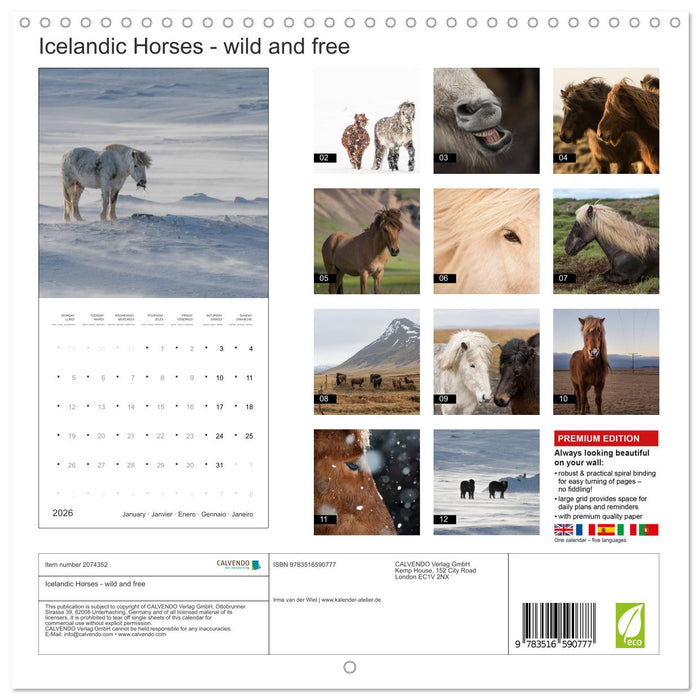 Icelandic Horses - wild and free (CALVENDO Monthly Calendar 2026)