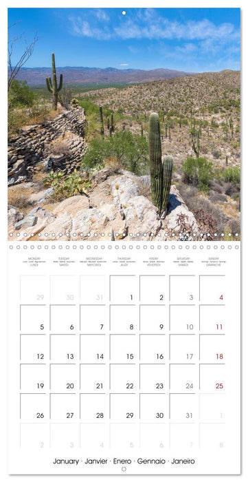 SAGUARO NATIONAL PARK Arizona desert impressions (CALVENDO Monthly Calendar 2026)