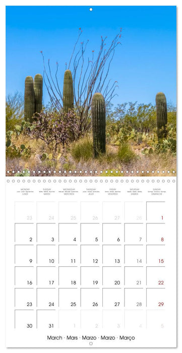 SAGUARO NATIONAL PARK Arizona desert impressions (CALVENDO Monthly Calendar 2026)