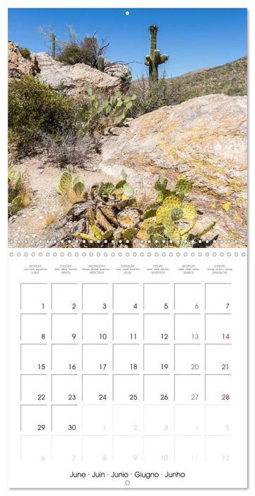 SAGUARO NATIONAL PARK Arizona desert impressions (CALVENDO Monthly Calendar 2026)