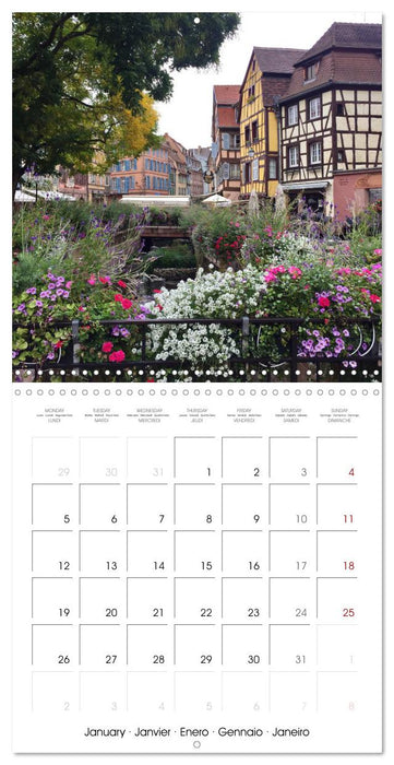 France Alsace (CALVENDO Monthly Calendar 2026)