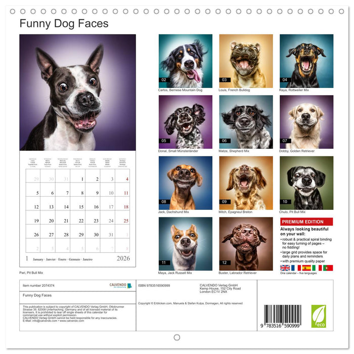 Funny Dog Faces (CALVENDO Monthly Calendar 2026)