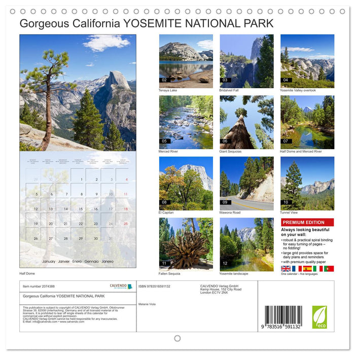 Gorgeous California YOSEMITE NATIONAL PARK (CALVENDO Monthly Calendar 2026)