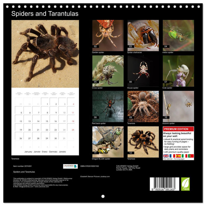 Spiders and Tarantulas (CALVENDO Monthly Calendar 2026)