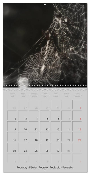 Kisses of dark dreams (CALVENDO Monthly Calendar 2026)