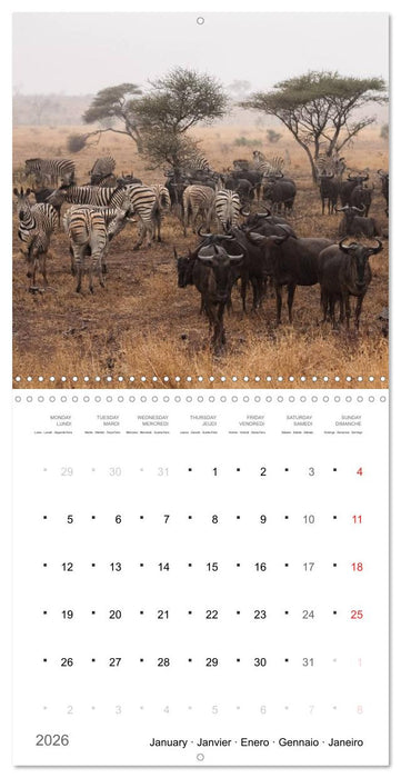 Adventure South Africa 2026 (CALVENDO Monthly Calendar 2026)