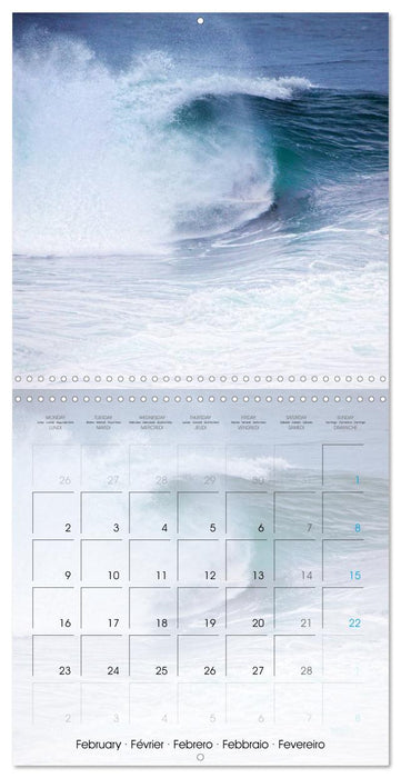 Surfing Passion (CALVENDO Monthly Calendar 2026)
