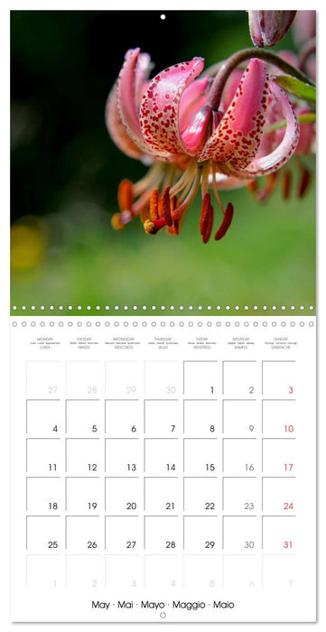 Beautiful Dolomites (CALVENDO Monthly Calendar 2026)