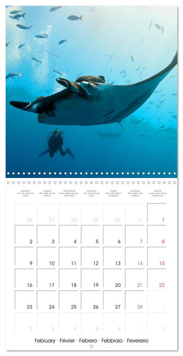 Maldives - Sun, water and beach (CALVENDO Monthly Calendar 2026)