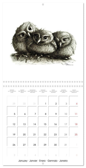 owls and mates 2026 (CALVENDO Monthly Calendar 2026)