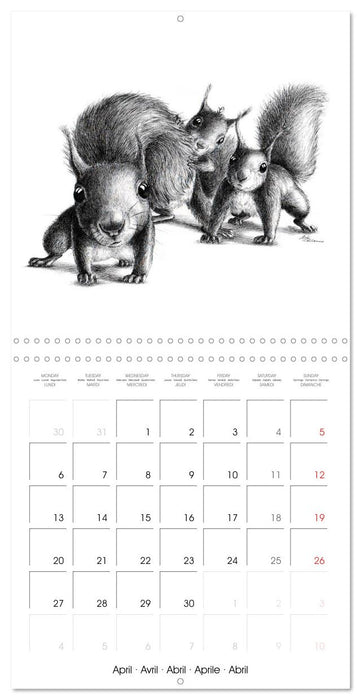 owls and mates 2026 (CALVENDO Monthly Calendar 2026)