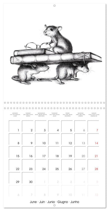 owls and mates 2026 (CALVENDO Monthly Calendar 2026)