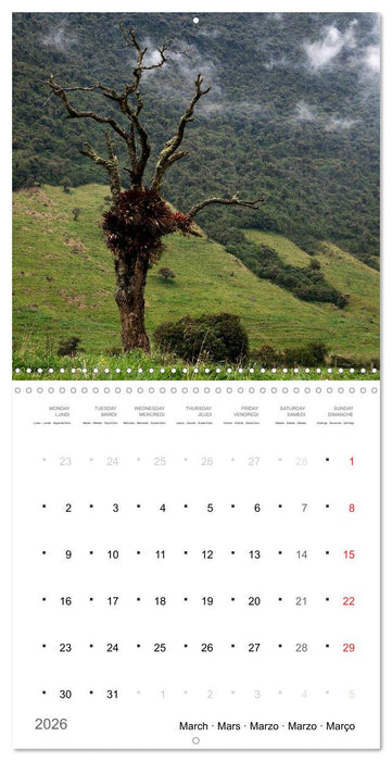 A Journey to Ecuador (CALVENDO Monthly Calendar 2026)