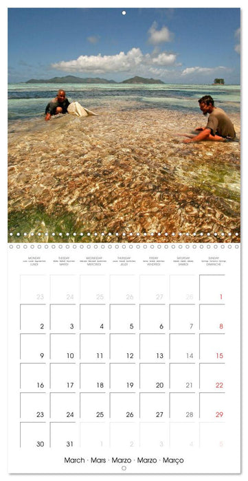 dream beaches - Seychelles (CALVENDO Monthly Calendar 2026)