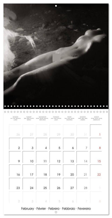 Magical Mystery Nudes (CALVENDO Monthly Calendar 2026)