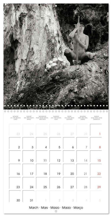 Magical Mystery Nudes (CALVENDO Monthly Calendar 2026)