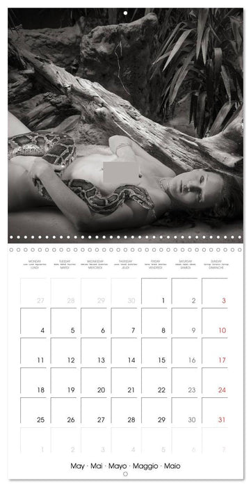 Magical Mystery Nudes (CALVENDO Monthly Calendar 2026)