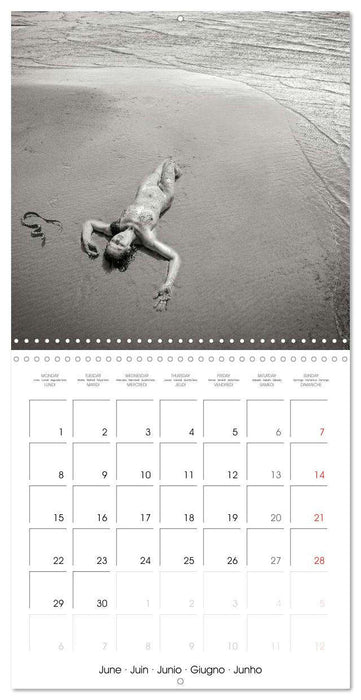 Magical Mystery Nudes (CALVENDO Monthly Calendar 2026)