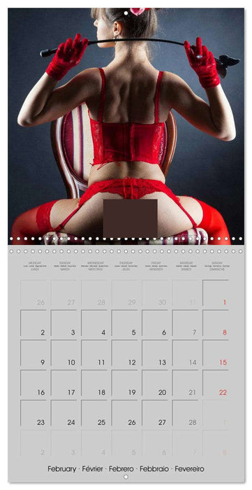 Erotica • Sensual Leather & Lingerie Fantasies (CALVENDO Monthly Calendar 2026)