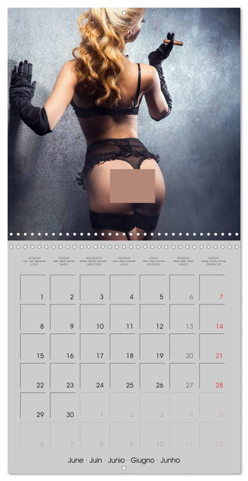 Erotica • Sensual Leather & Lingerie Fantasies (CALVENDO Monthly Calendar 2026)