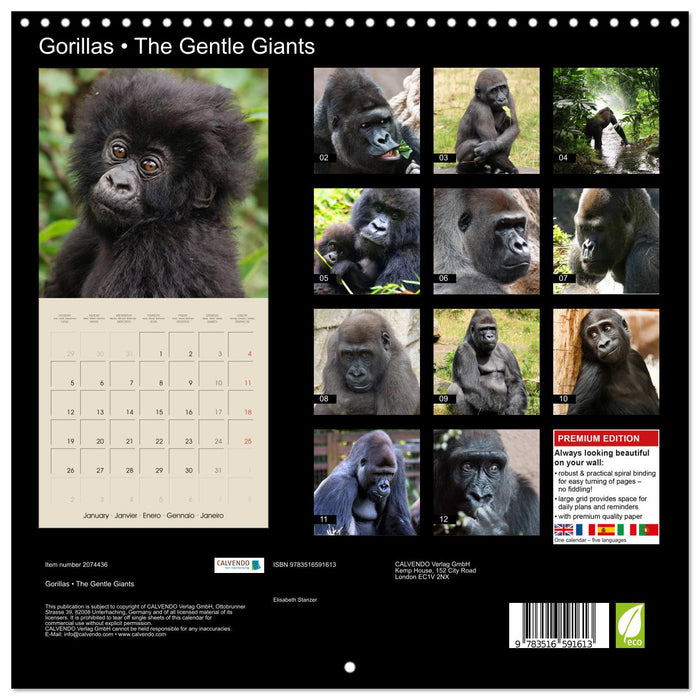 Gorillas • The Gentle Giants (CALVENDO Monthly Calendar 2026)